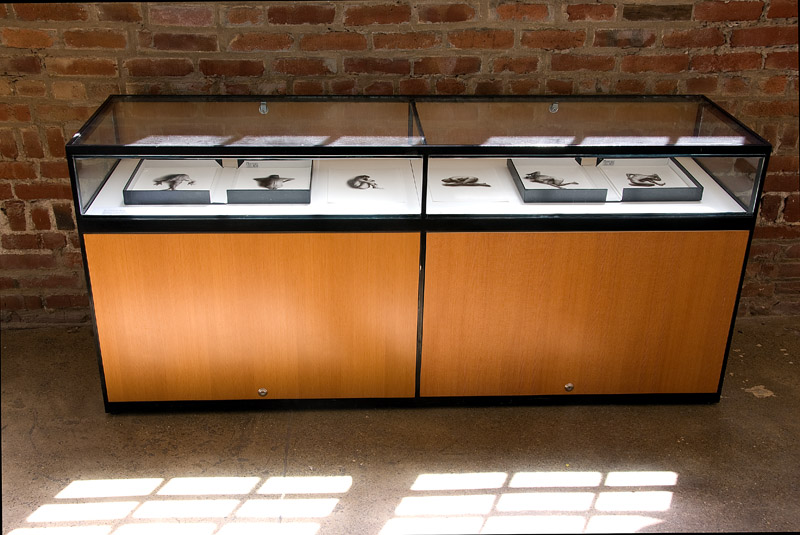 Gallery13