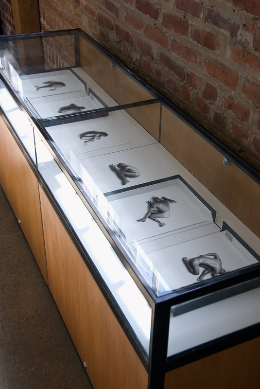 Gallery14